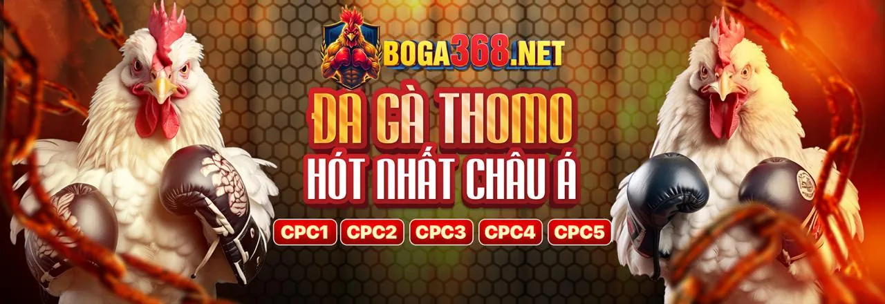 Hình ảnh game bài sôi động tại au888